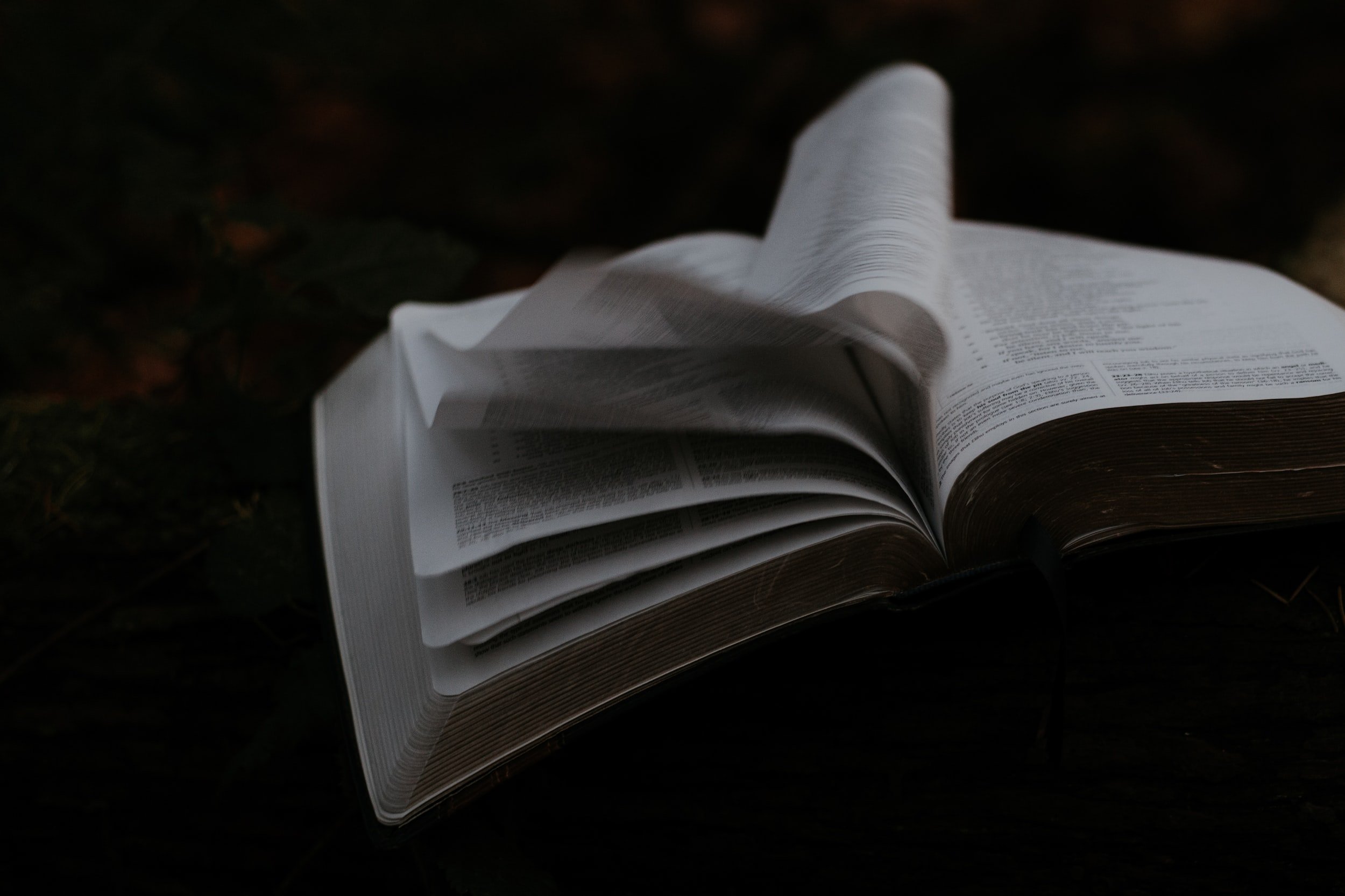 Deadly Drabble Tuesday: “The Last Story in the Book” by Tom Coombe