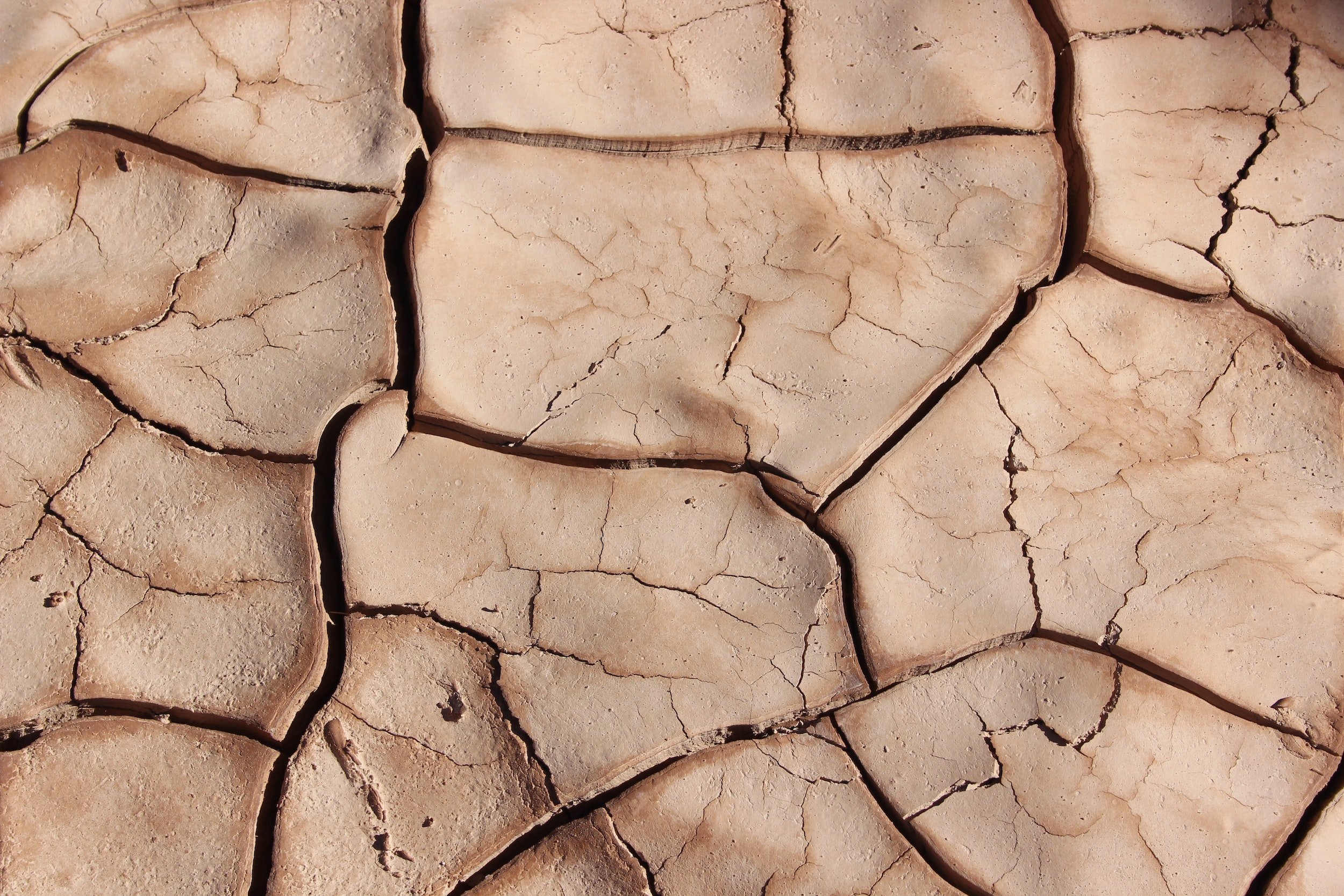 Deadly Drabble Tuesday: “Fault Line” by Tiffany Michelle Brown
