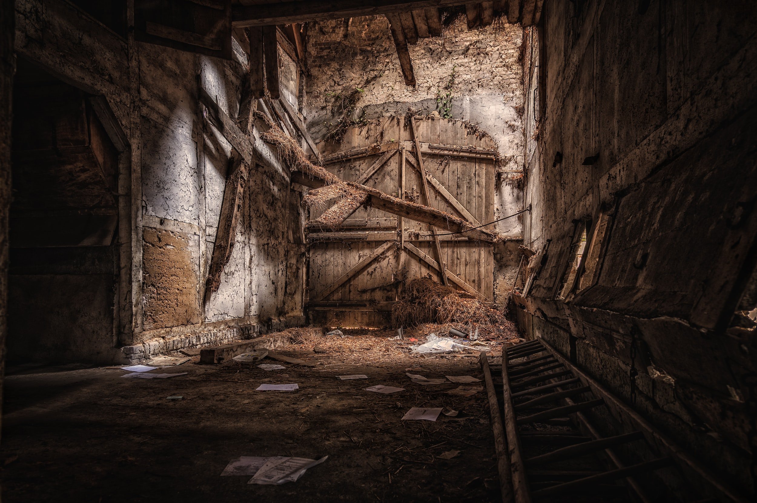 Deadly Drabble Tuesday: “Reclaimed Barn Screams” by Alexis DuBon